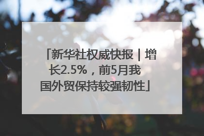 新华社权威快报｜增长2.5%，前5月我国外贸保持较强韧性