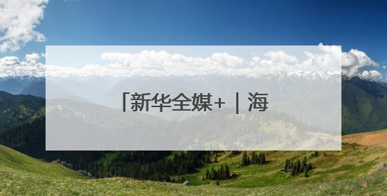 新华全媒+｜海南自贸港：政策创新赋能产业发展
