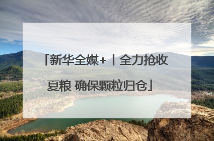新华全媒+丨全力抢收夏粮 确保颗粒归仓
