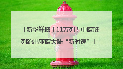 新华鲜报丨11万列！中欧班列跑出亚欧大陆“新时速”