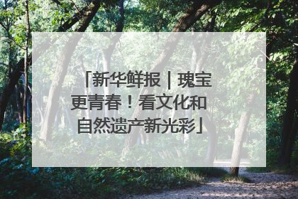 新华鲜报｜瑰宝更青春！看文化和自然遗产新光彩