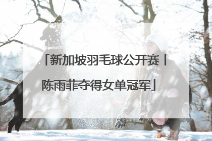 新加坡羽毛球公开赛丨陈雨菲夺得女单冠军