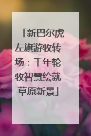 新巴尔虎左旗游牧转场：千年轮牧智慧绘就草原新景