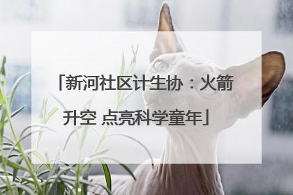 新河社区计生协：火箭升空 点亮科学童年