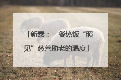 新泰：一餐热饭“照见”慈善助老的温度