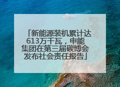 新能源装机累计达613万千瓦，申能集团在第三届碳博会发布社会责任报告