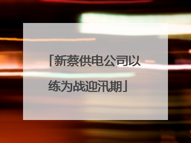 新蔡供电公司以练为战迎汛期