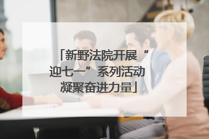 新野法院开展“迎七一”系列活动 凝聚奋进力量