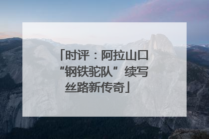 时评：阿拉山口“钢铁驼队”续写丝路新传奇