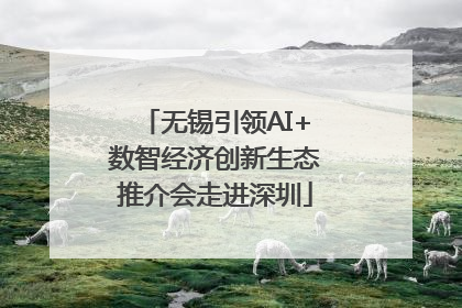 无锡引领AI+数智经济创新生态推介会走进深圳