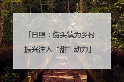 日照：街头镇为乡村振兴注入“甜”动力