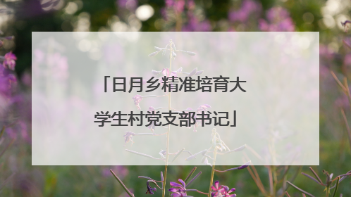 日月乡精准培育大学生村党支部书记