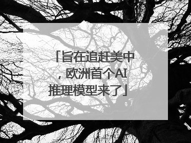 旨在追赶美中，欧洲首个AI推理模型来了