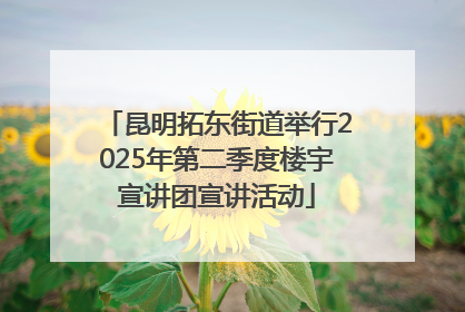昆明拓东街道举行2025年第二季度楼宇宣讲团宣讲活动