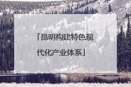 昆明构建特色现代化产业体系