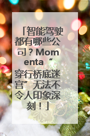 智能驾驶都有哪些公司？Momenta“穿行桥底迷宫”无法不令人印象深刻！