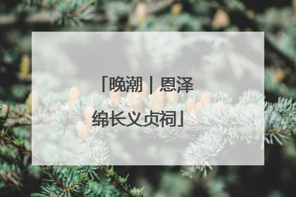 晚潮｜恩泽绵长义贞祠