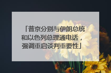 普京分别与伊朗总统和以色列总理通电话，强调重启谈判重要性