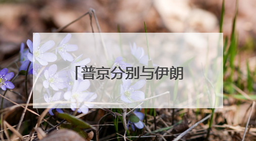 普京分别与伊朗总统和以色列总理通电话 强调重启谈判重要性