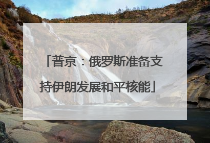 普京：俄罗斯准备支持伊朗发展和平核能
