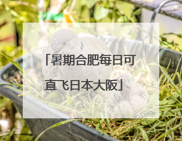 暑期合肥每日可直飞日本大阪