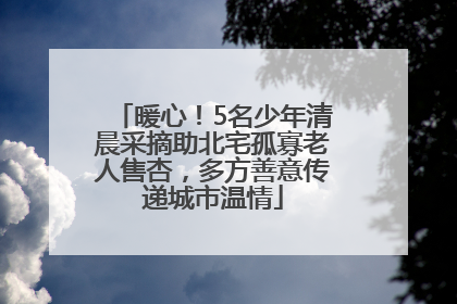 暖心！5名少年清晨采摘助北宅孤寡老人售杏，多方善意传递城市温情