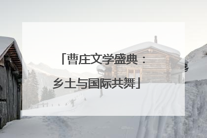 曹庄文学盛典：乡土与国际共舞