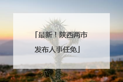最新！陕西两市发布人事任免