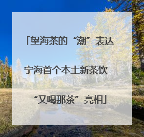 望海茶的“潮”表达 宁海首个本土新茶饮“又喝那茶”亮相