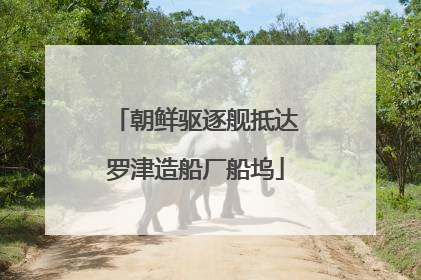 朝鲜驱逐舰抵达罗津造船厂船坞