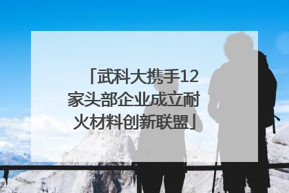 武科大携手12家头部企业成立耐火材料创新联盟