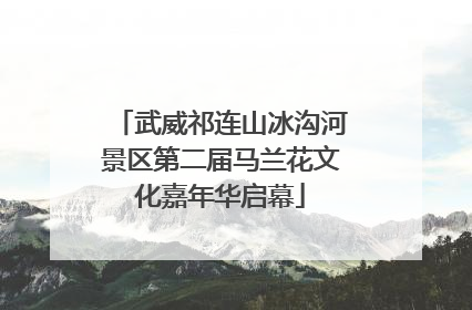 武威祁连山冰沟河景区第二届马兰花文化嘉年华启幕