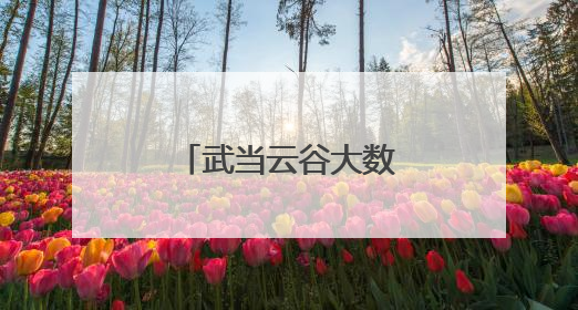 武当云谷大数据中心项目二期最新进展来了