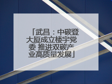 武昌：中碳登大厦成立楼宇党委 推进双碳产业高质量发展