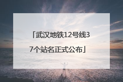 武汉地铁12号线37个站名正式公布