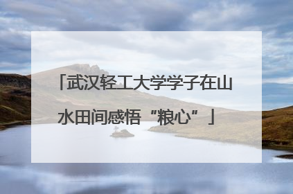 武汉轻工大学学子在山水田间感悟“粮心”