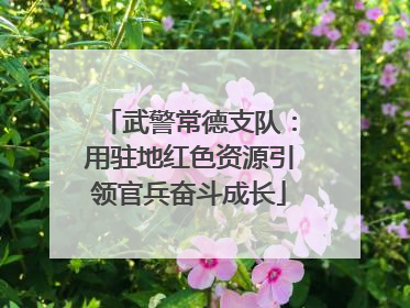 武警常德支队：用驻地红色资源引领官兵奋斗成长