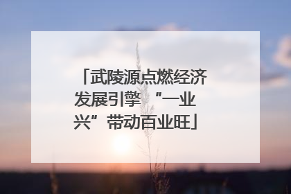 武陵源点燃经济发展引擎 “一业兴”带动百业旺