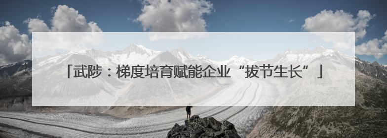 武陟：梯度培育赋能企业“拔节生长”