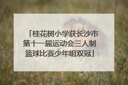 桂花树小学获长沙市第十一届运动会三人制篮球比赛少年组双冠