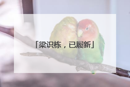 梁识栋，已履新