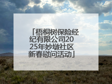 梧桐树保险经纪有限公司2025年妙墩社区新春慰问活动