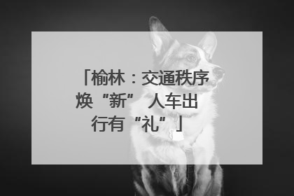 榆林：交通秩序焕“新” 人车出行有“礼”