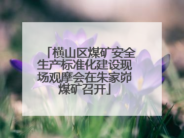 横山区煤矿安全生产标准化建设现场观摩会在朱家峁煤矿召开