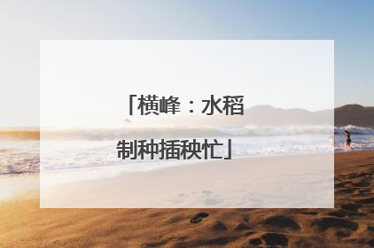 横峰：水稻制种插秧忙