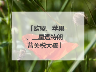 欧盟、苹果、三星遭特朗普关税大棒