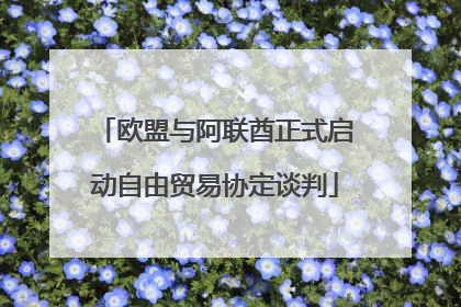 欧盟与阿联酋正式启动自由贸易协定谈判