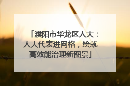 濮阳市华龙区人大：人大代表进网格，绘就高效能治理新图景