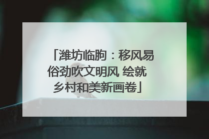 潍坊临朐：移风易俗劲吹文明风 绘就乡村和美新画卷