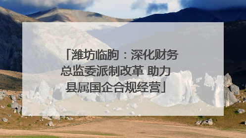 潍坊临朐：深化财务总监委派制改革 助力县属国企合规经营